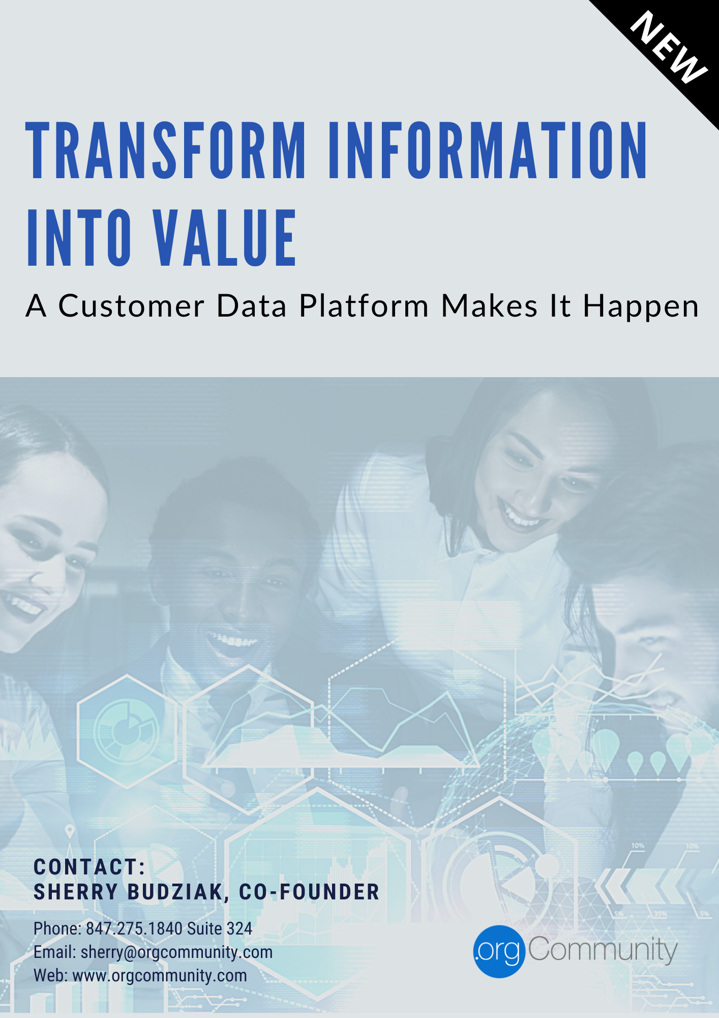 Transform Information Into Value A Customer Data Platform Makes It transform-information-into-value-a-customer-data-platform-makes-it